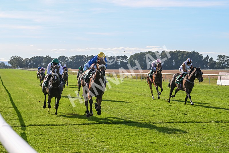 160924-Race 5-King Of The Jungle-2973 - Race 5