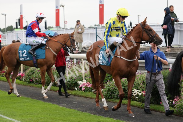 yr22072022r3-28 - Race 3 6.20pm Tomahawk Stakes