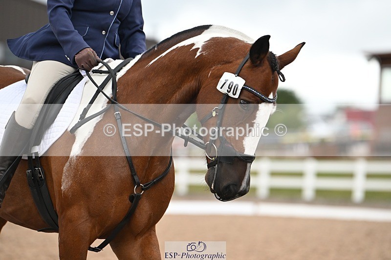 250705-175534-03232 - N3 Section BDNOV3 15.55 to 17.19