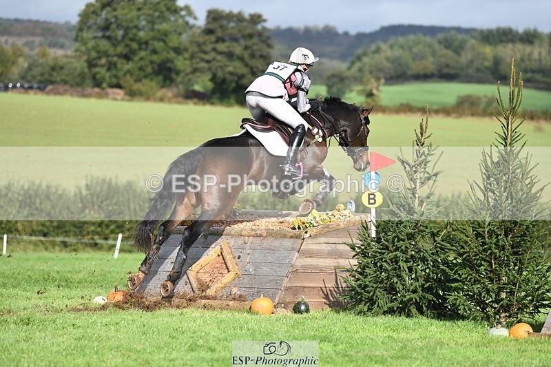 231020-115727-07273 - 057-OVERTON.TILANA'S.GOLD-Claire.Deuten-XC