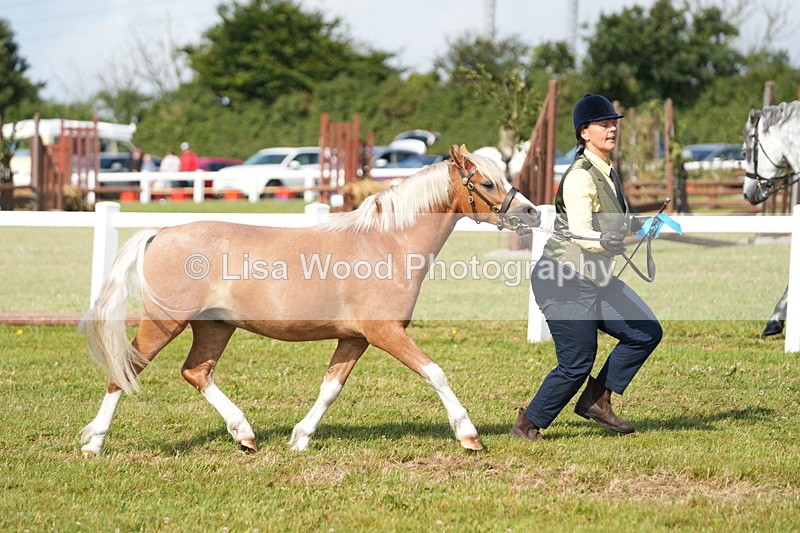 DSC05145 - Class 48: NPS M&M 2/3 year olds