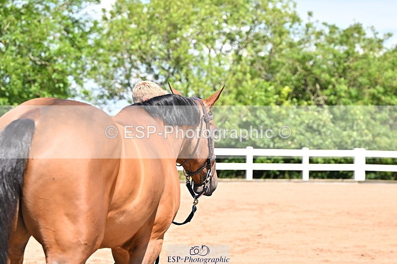 240718A-105237-00929 - Trot Up 11am to 12pm