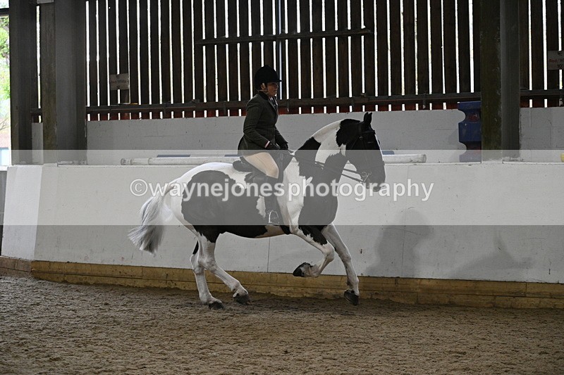 WJ7_3871 - Class 17 Ridden Cob