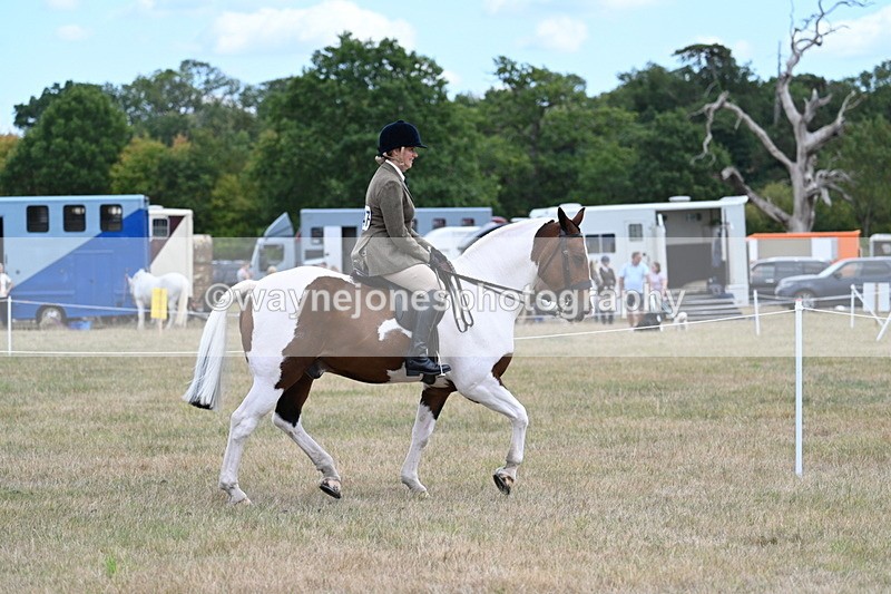 WJ7_4895 - Class 12 Ridden Cob