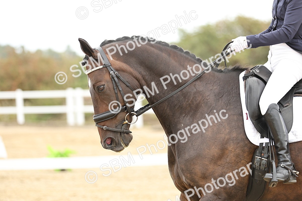 SBM_007157 - Class 25 - FEI PSG Bronze