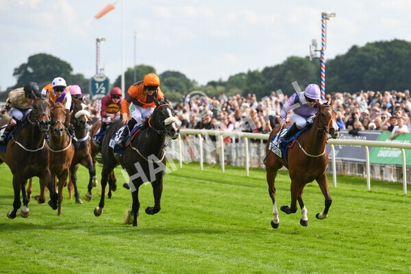 yr11062022r8-19 - Race 8 5.25pm Clean up with PPS Stakes