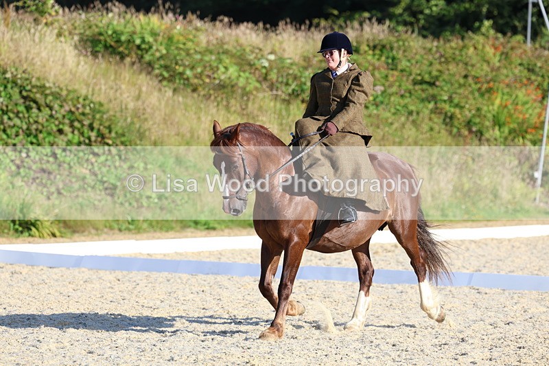 3E7A3818 - Class 3: Prelim 1 2024 Section A