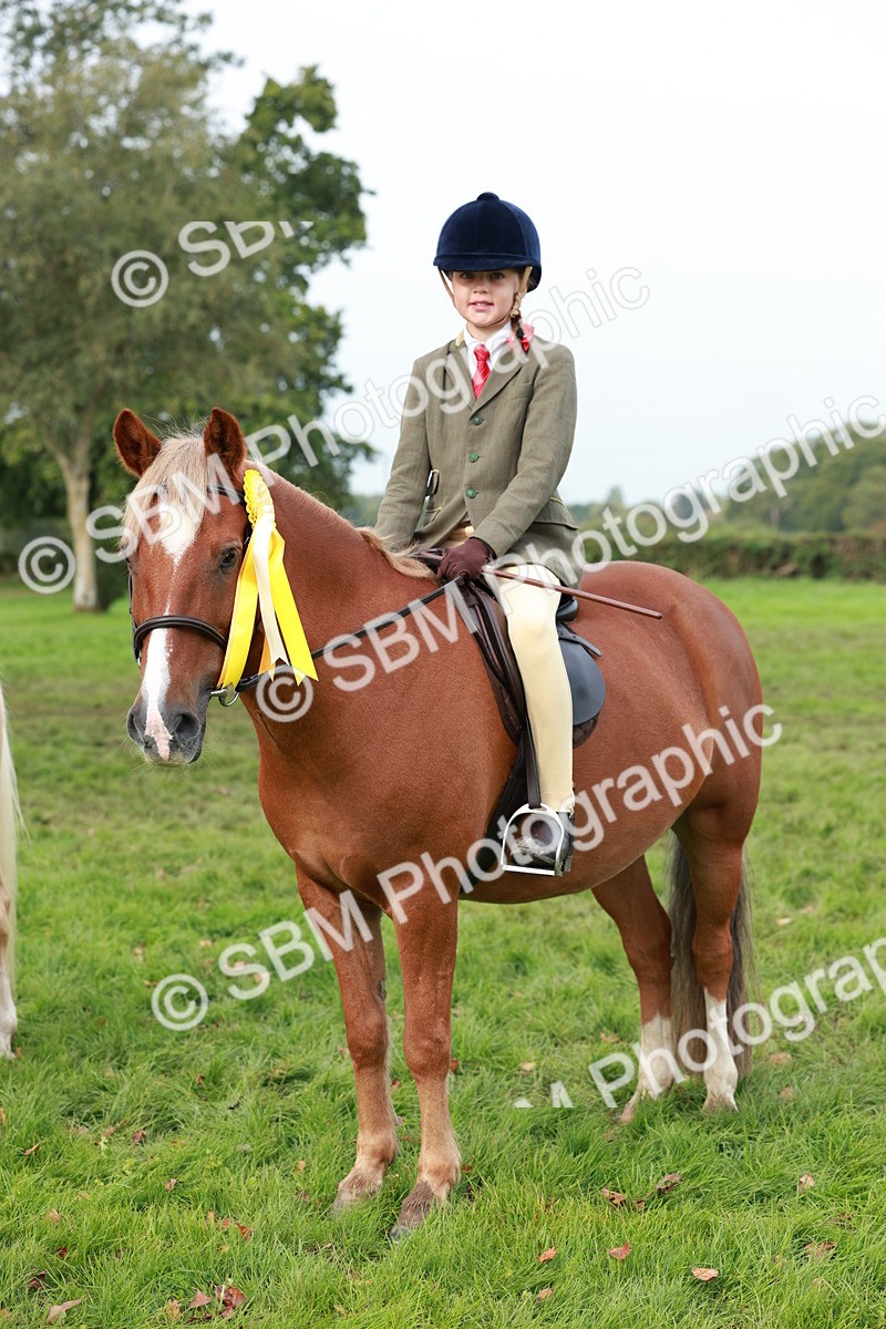 SBM_56504 - S39 - Starters In Hand Showing