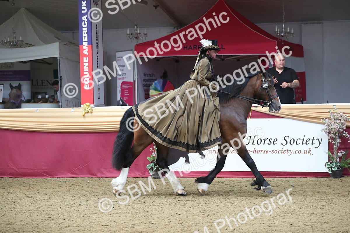 SBM_11972 - Class 106 Ridden Costume- Astride Adult (15-19)