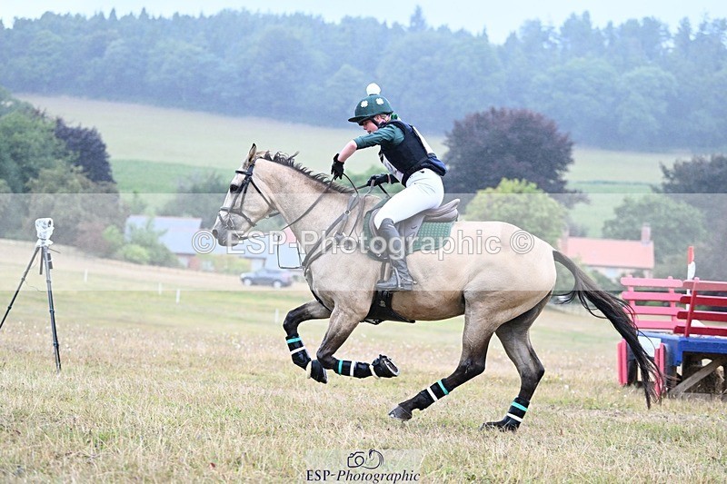 250803A-131012-13590 - M-572-Anaya.Stoneman-DUNTOATEE