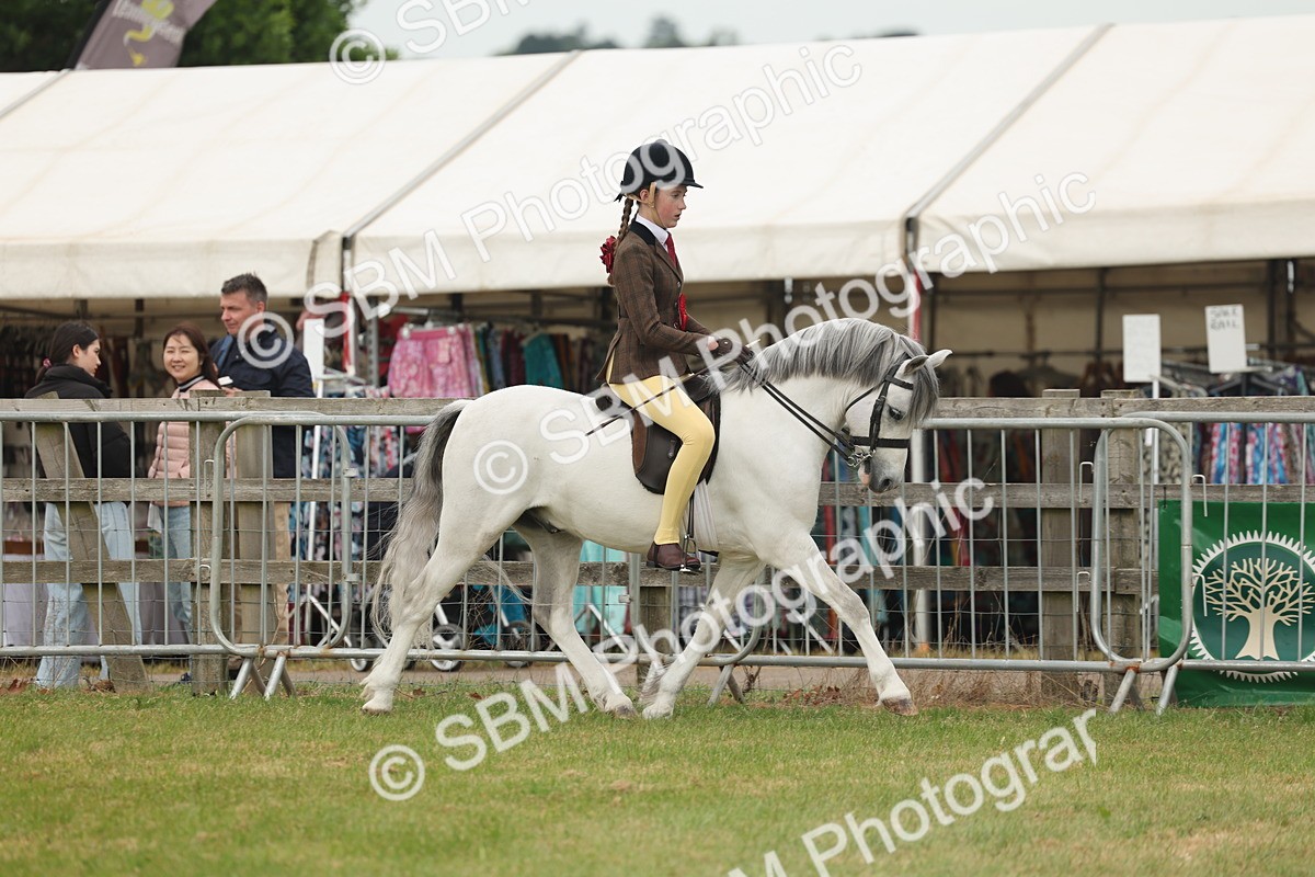 SBM_09101 - Class 78-80 - Ridden M&M Non Welsh Ponies