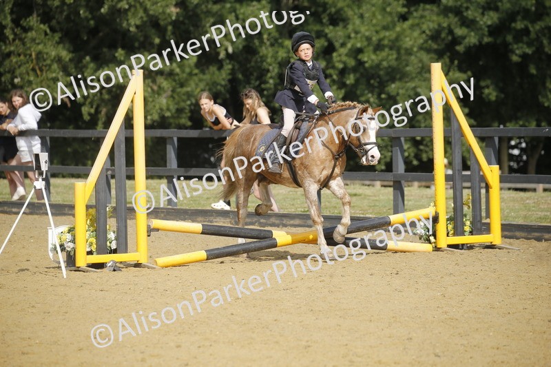 20250622-1563 - 40cm