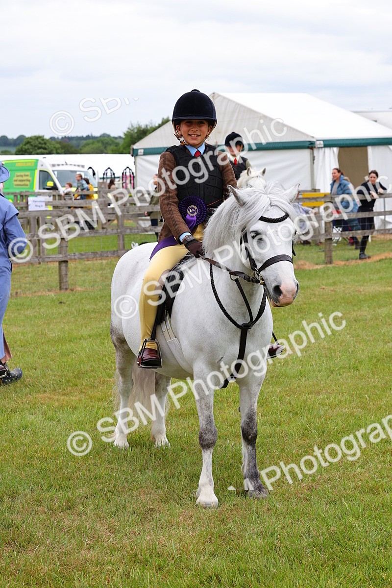 SBM_08864 - Class 42-43 - LIHS BSPS Heritage Working Sports Pony