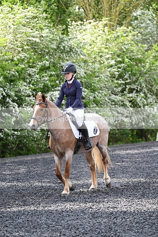 WJ7_8083 - Time 10:11 to 10:27