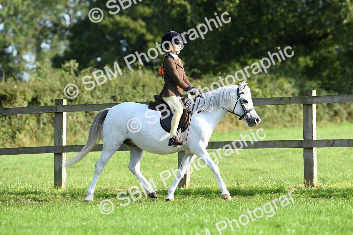 SBM_53980 - S23 - 1st Ridden Mountain & Moorland Pony