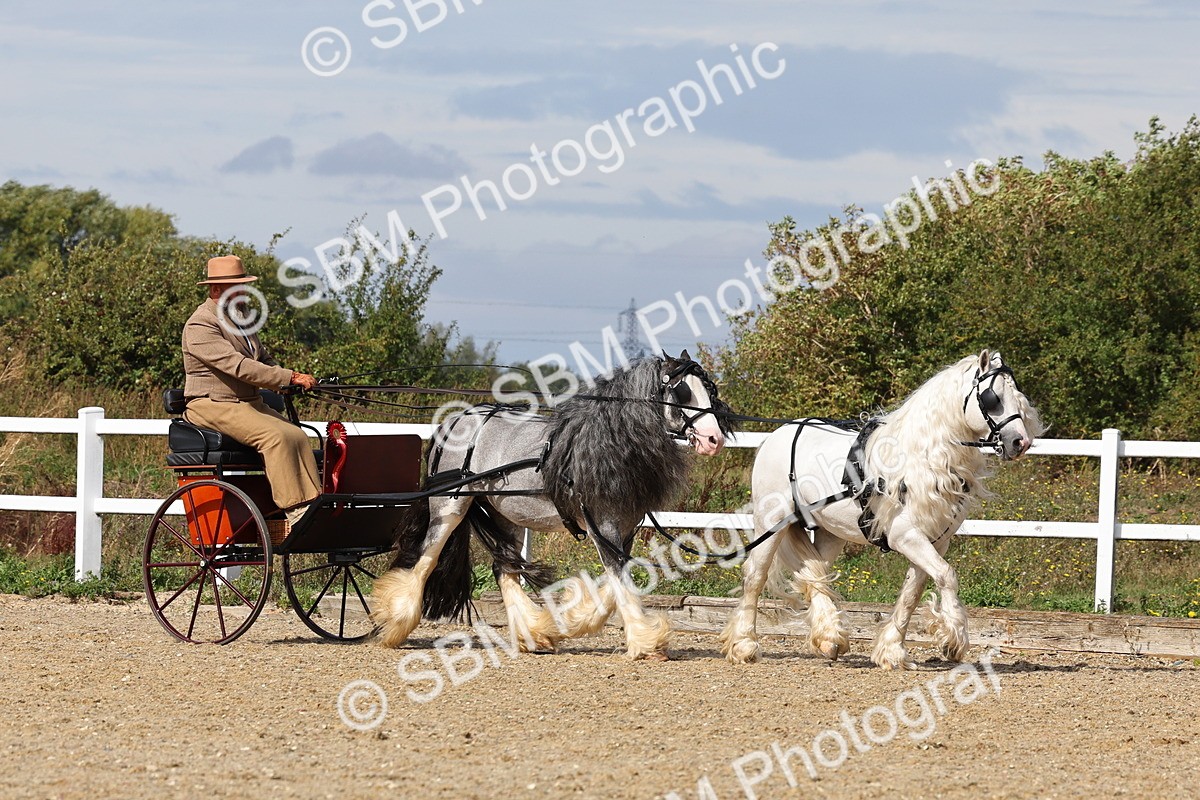 SBM_001262 - Class 16 - Pairs ,Multiples and Tandems
