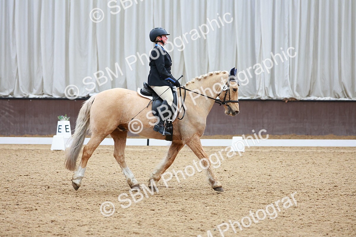 SBM_001070 - Class 5 - Novice 1