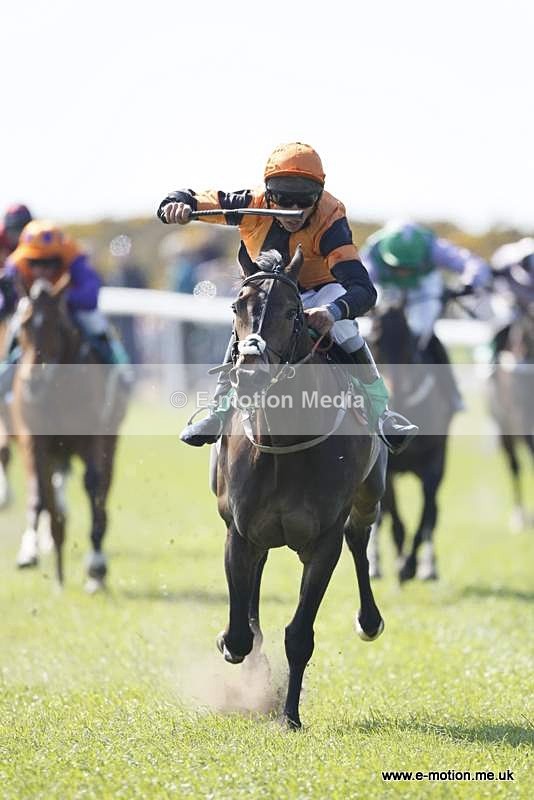  GRD 030510 165 - Guernsey Race Day 03/05/10