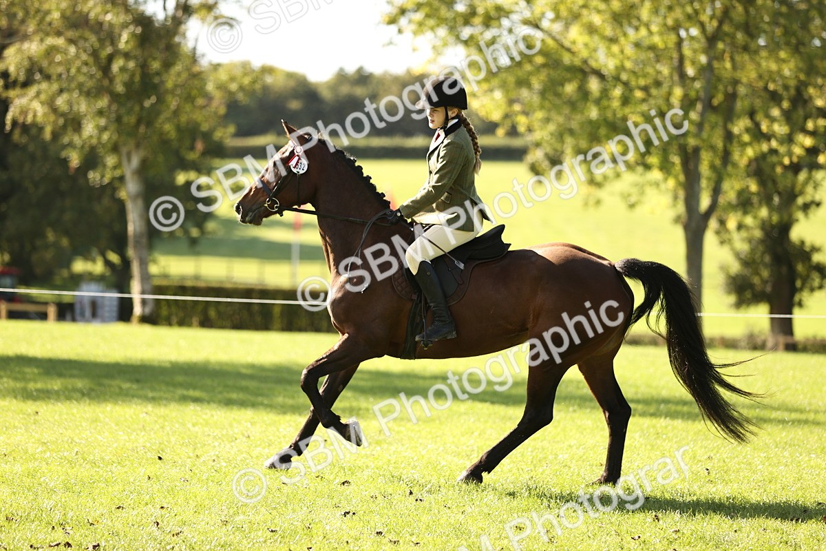 SBM_16980 - S2 - TSR Ridden Pony Showing