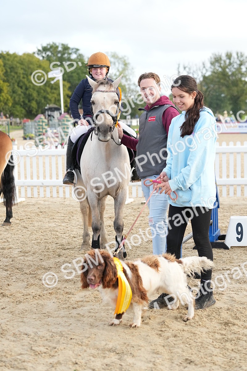 SBM_29238 - J43 - Horse & Hound Open 50cm