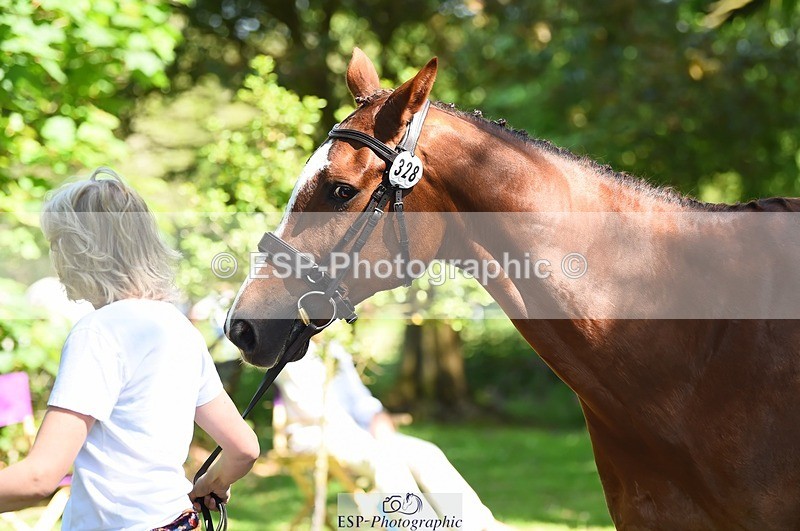 230524-152628-00273 - 328-GREENLOUGH_CROSS-Kelly_Mccarthy-maine-WEDTrotUp+DR