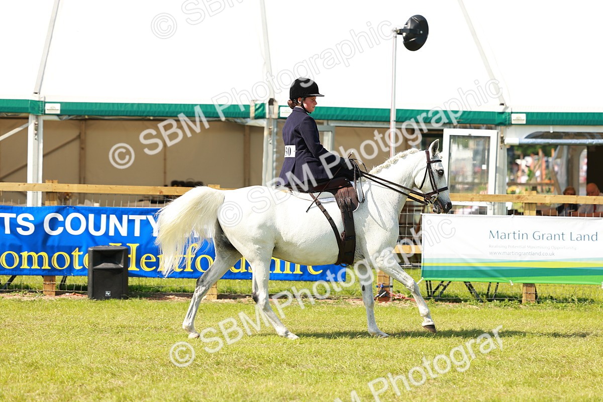 SBM_13186 - Class 70-71 - Side Saddle