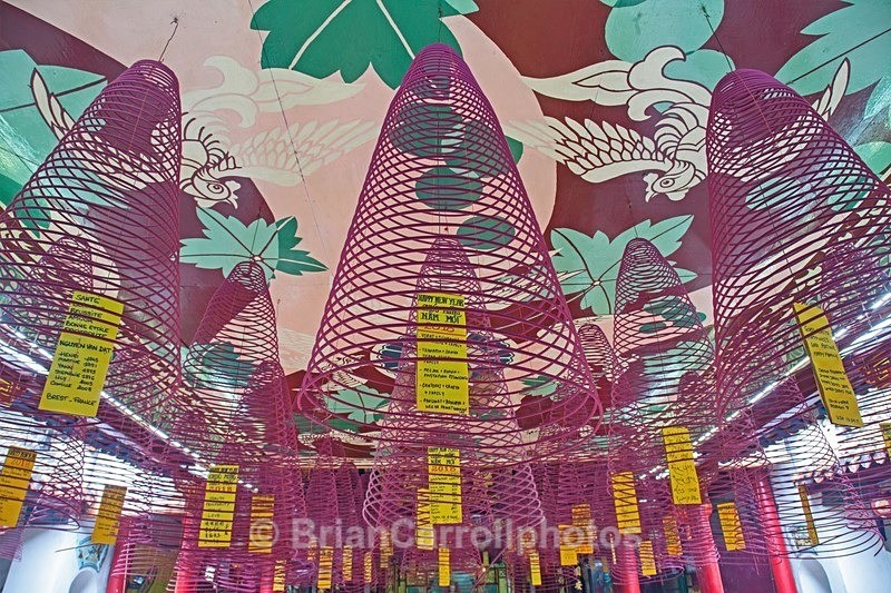 IMG_6005 Incense Coils Vietnam - Vietnam