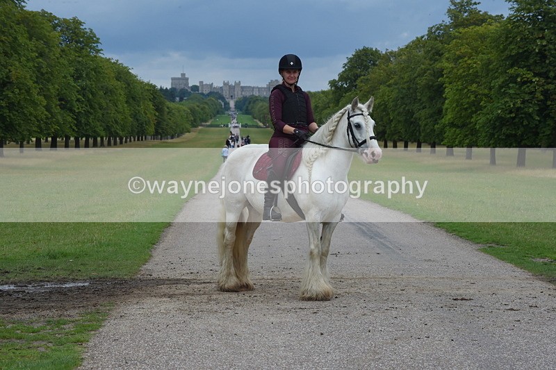 TT3_9440 - Time at Crossing 11:28 to 13:16