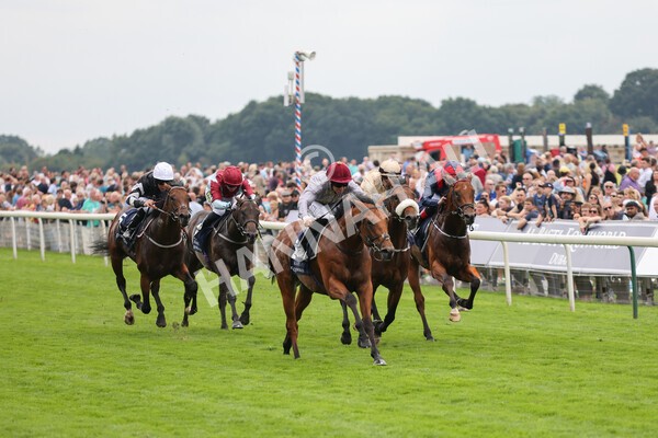 yr20082021r3-13 - Race 3 3.00pm Al Basti Equiworld Dubai Gimcrack Stakes