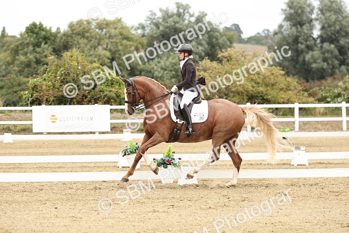 SBM_006546 - Class 21 - Medium 5 Bronze - 9.08-9.48