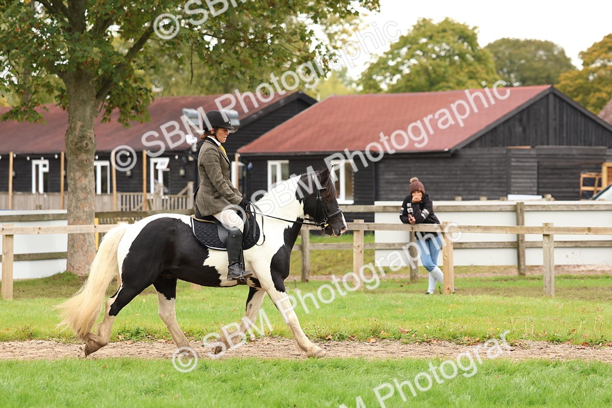 SBM_59866 - S36 - Rehabiliated Rescue Horse & Pony In Hand & Ridden