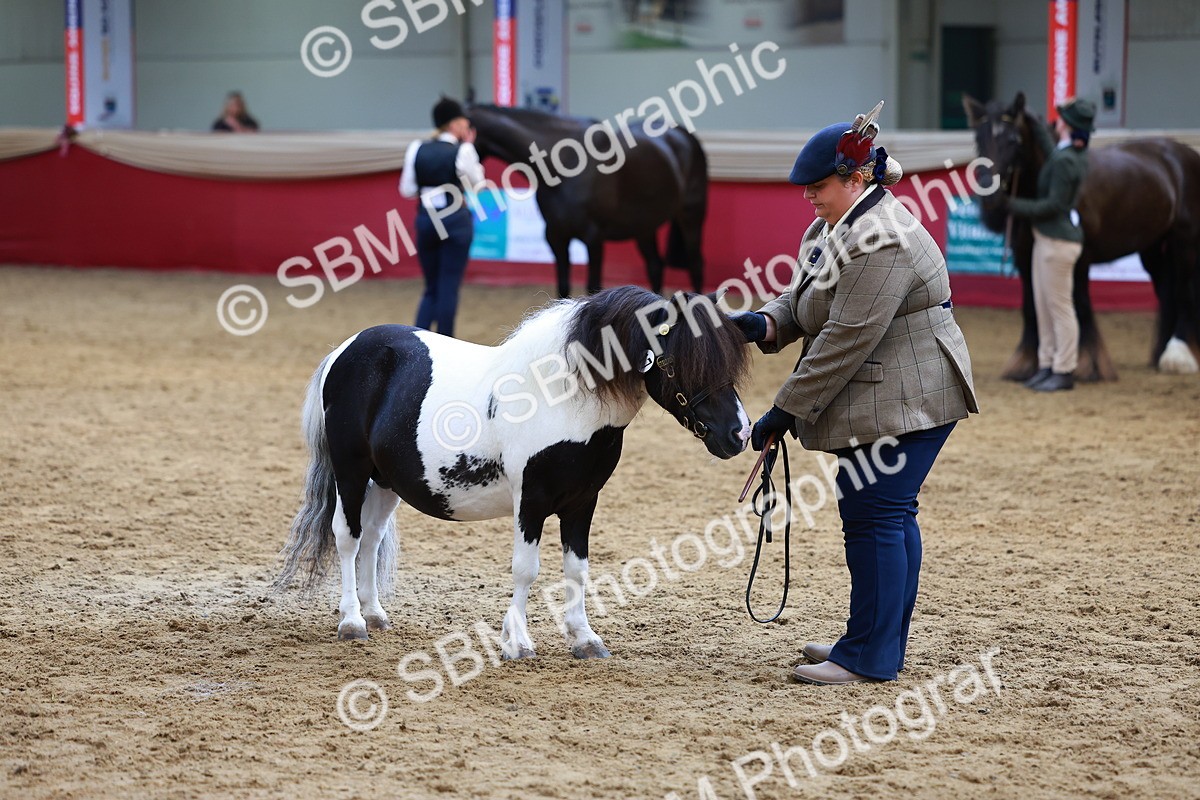 SBM_18685