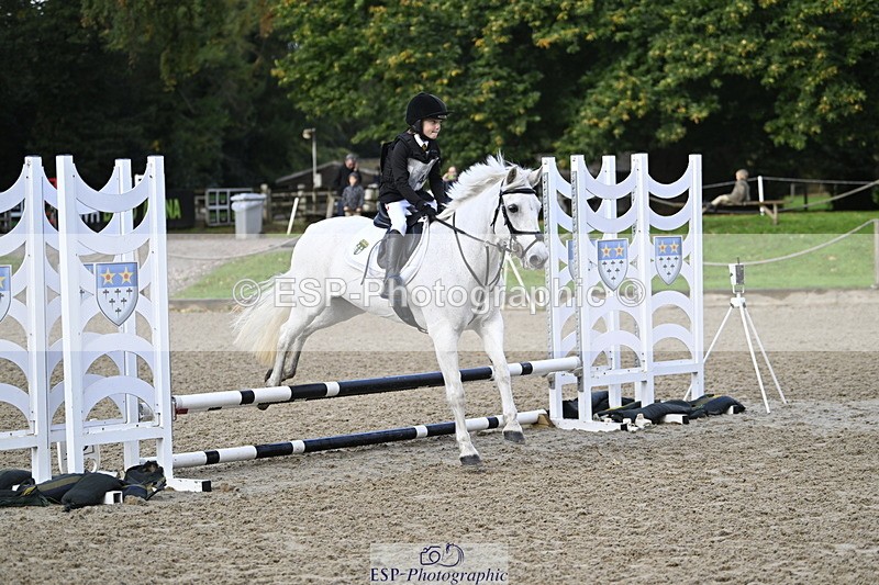 251005A-090553-02946 - Cls 02 GR 50cm