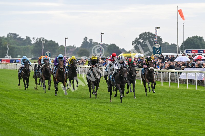 060926-Race 1-Mezzo Forte-6797 - Race 1 1.30pm Irish Thoroughbred Marketing 'Confined' EBF Maiden Stakes