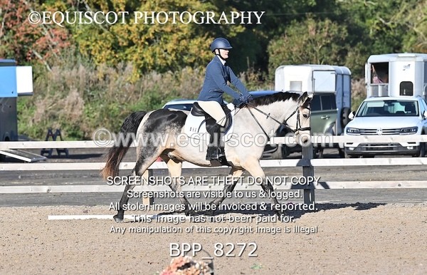 BPP_8272 - SHORT ARENA