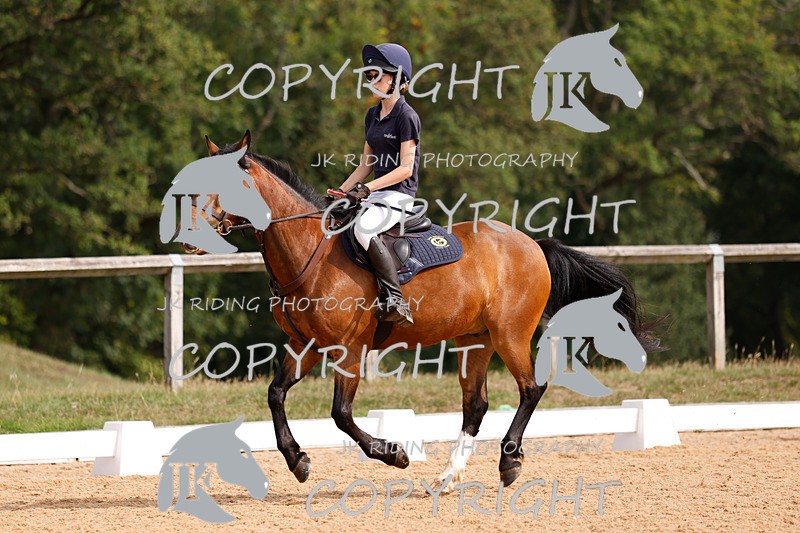 _R6A2285 - Dressage Morning