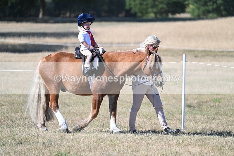 WJ7_2059 - Class 44 Child's Best Friend