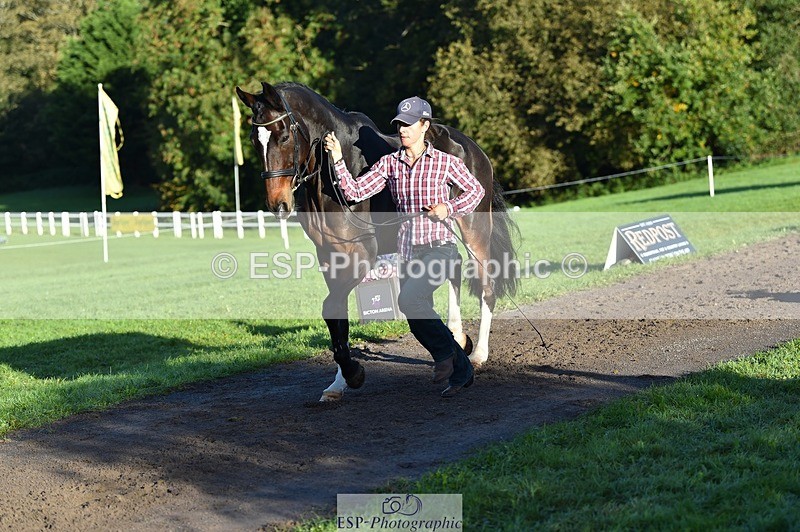 231022-092742-21804 - 685-ADRENALIN.II-Cosima.Atkinson-TrotUp+SJ