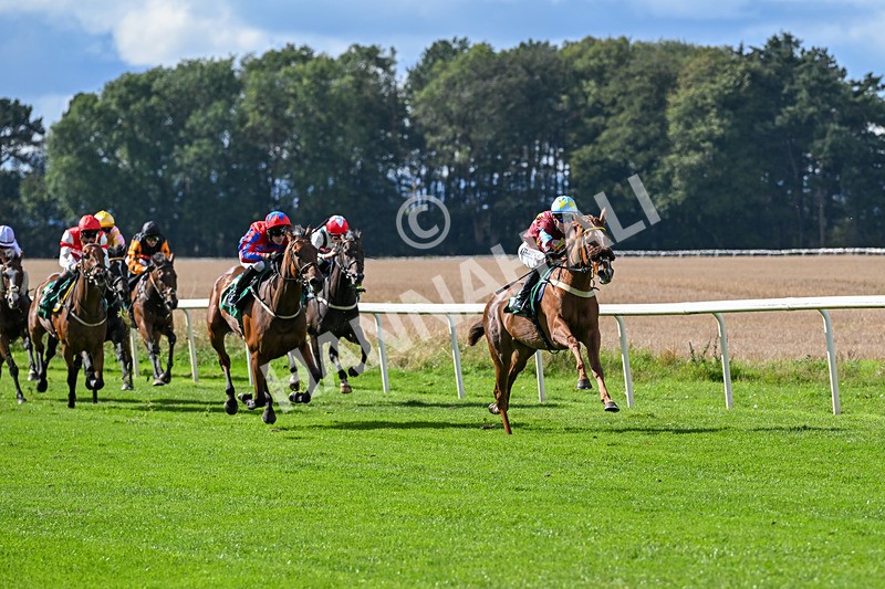 140926-Race 1-Satyress-6603 - Race 1 2.21pm Constant Security Services Apprentice Handicap