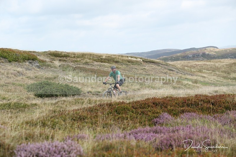 SPXX0304 - Mountain biker