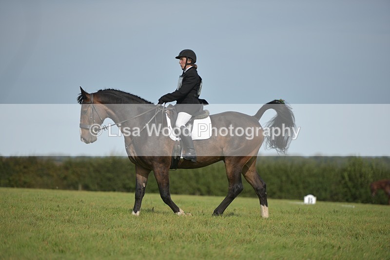 RAY_7899 - Class 2B: Trekenning Open: Dressage