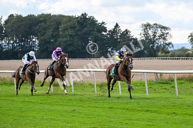 140926-Race 3-Majestic Jude-7052 - Race 3 3.21pm British Stallion Studs EBF Novice Stakes