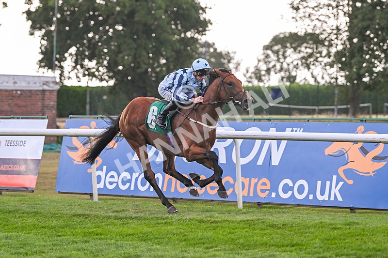 150825-Race 2-Hasbro Market-2536 - Race 2