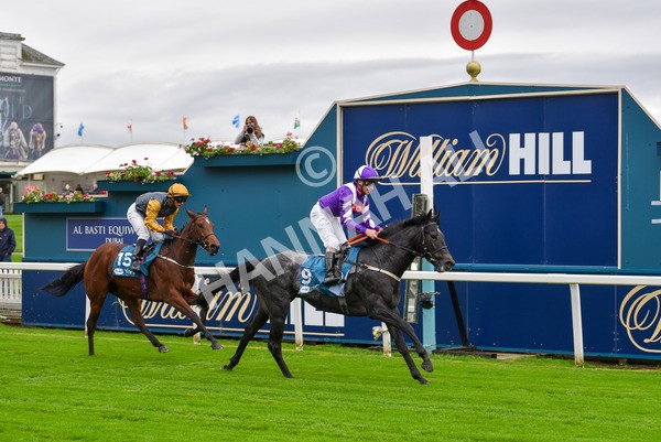 131023-Race 1-Pilgrim-9055 - Race 1 2.05pm William Hill EBF Novice Stakes