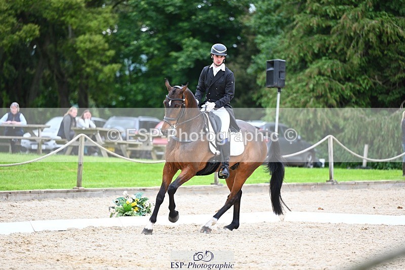 240524-180120-11548 - 162-HAZZLE_DAZZLE-Henry_Hobby