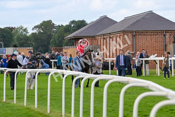 230824-Race 4-Bradsell-9451 - Race 4 3.35pm Coolmore Wootton Bassett Nunthorpe Stakes