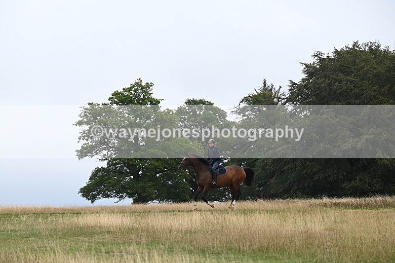 DSC_0290 - Time at Statue 09:51 to 10:54