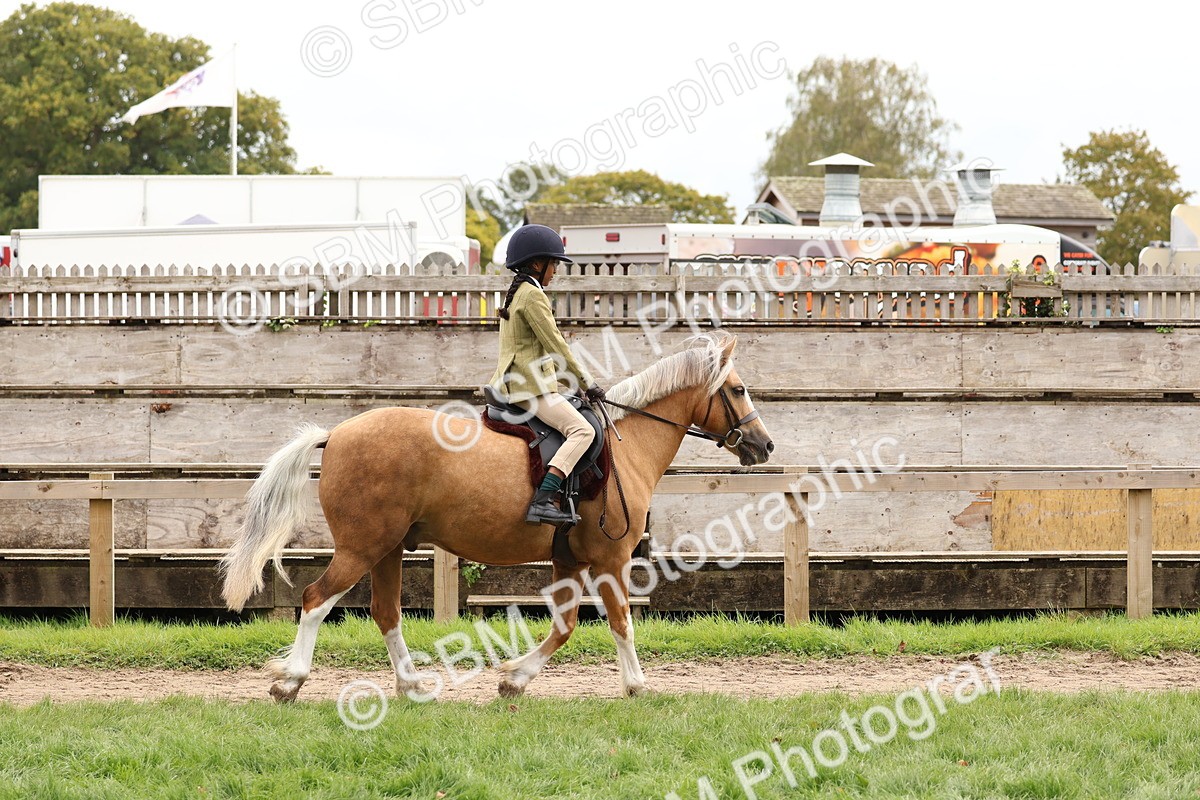 SBM_64367 - S58 - Coloured Pony Ridden