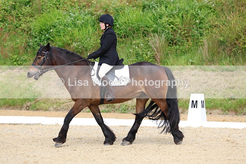 3E7A1408 - Class 2: Intro 2 2024 Section B