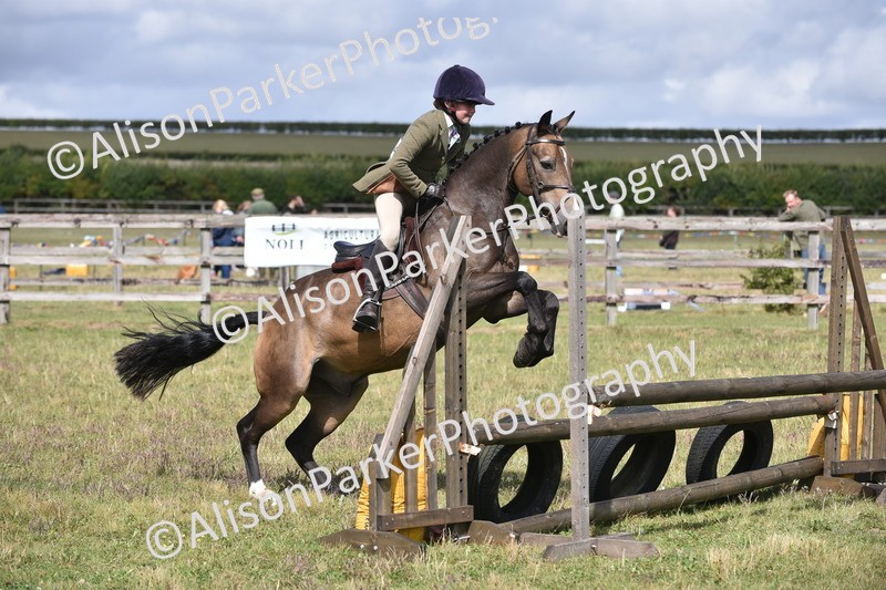 20250831-4100 - Class 13 - Working Hunter Horse or Pony